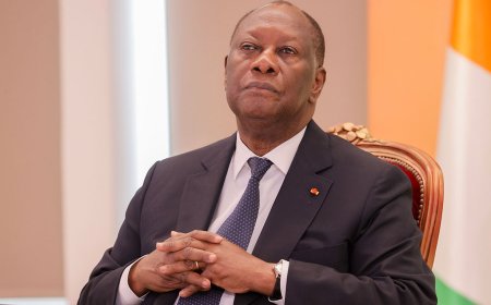 Dossier/ Présidentielle 2025 :  Quel candidat pour le RHDP ?